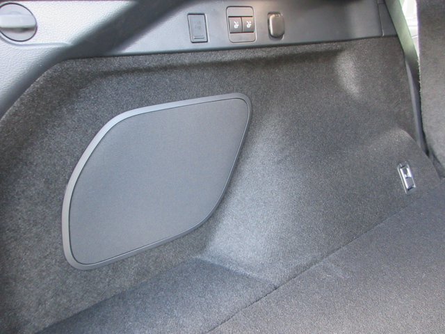 New 2026 Iridium Lexus PREMIUM image 56