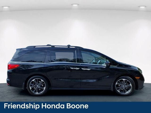 Used 2023 Black Honda Elite image 7