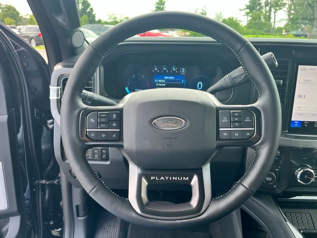 New 2026 Black Ford Platinum image 17