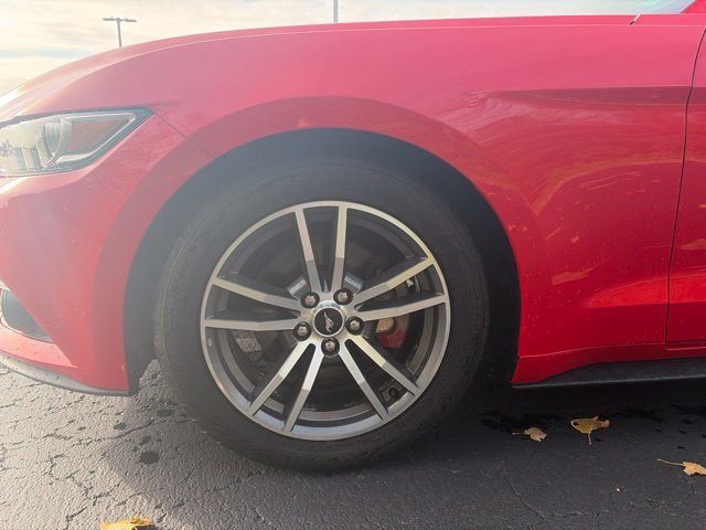Used 2015 Race Red Ford EcoBoost Premium image 4