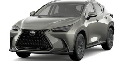 2025 Lexus NX 350's photo