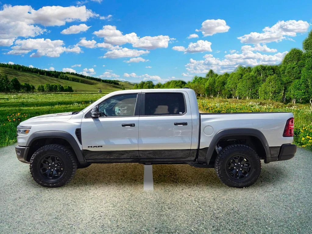 New 2026 Silver Zynith Exterior Paint RAM RHO image 3
