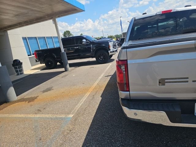 Used 2024 Silver Ford XLT image 6
