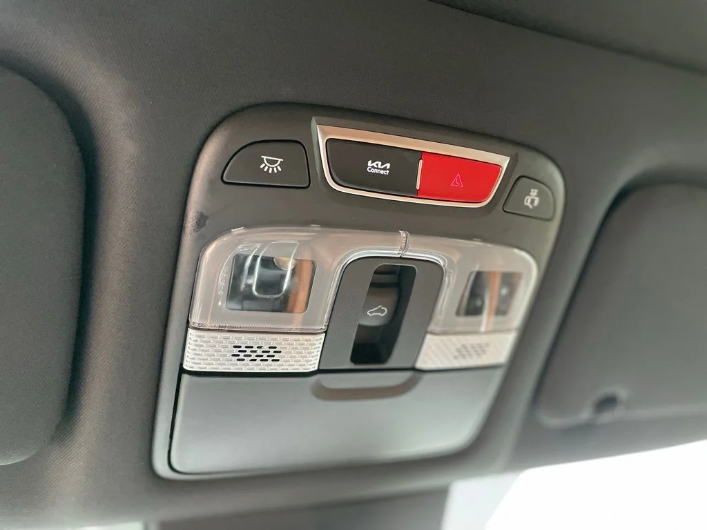 Certified Used 2025 Panthera Metal Kia EX X-Line image 16