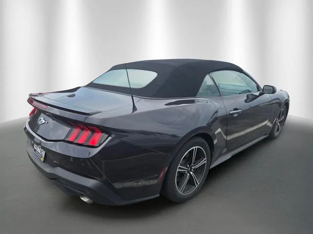 Certified Used 2024 Gray Ford EcoBoost Premium image 4