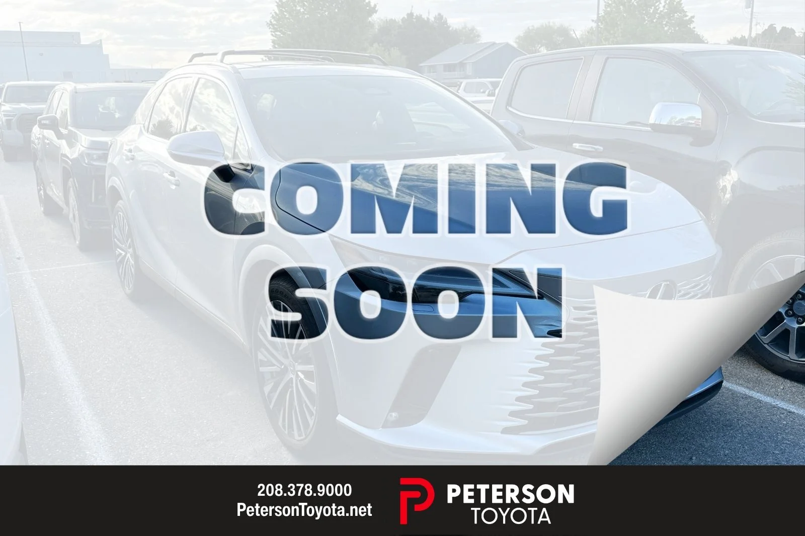2023 Lexus RX