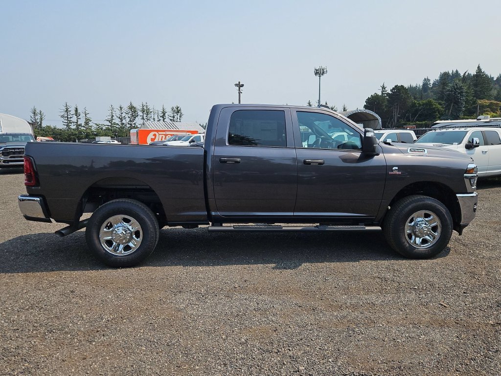 New 2026 Granite Crystal Metallic Clear-Coat Exterior Paint RAM Tradesman image 8