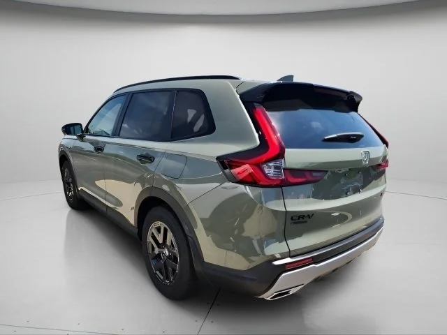 New 2026 Ash Green Metallic Honda TrailSport image 4