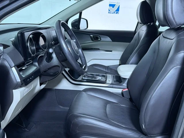 Used 2024 PANTHERA_METAL Kia LX image 18