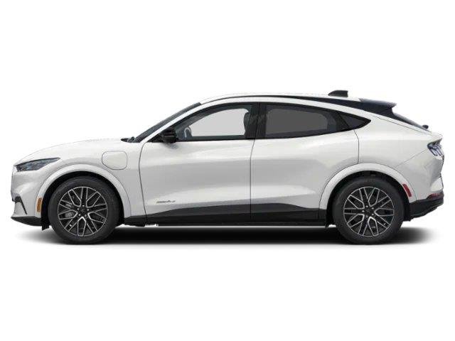 New 2026 WHITE Ford Premium image 3