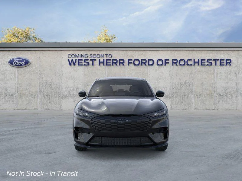 New 2026 Shadow Black Ford Premium image 7