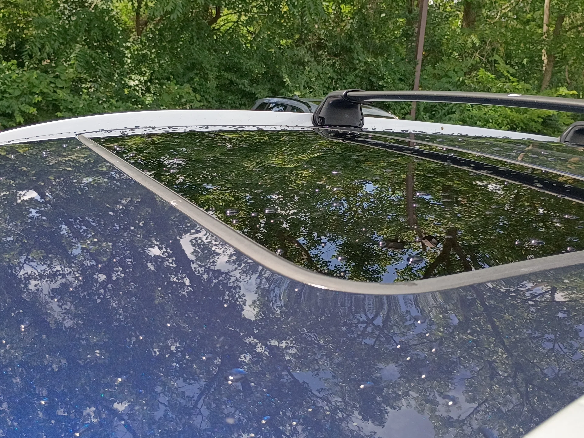Certified Used 2016 BLUE Honda EX-L image 27