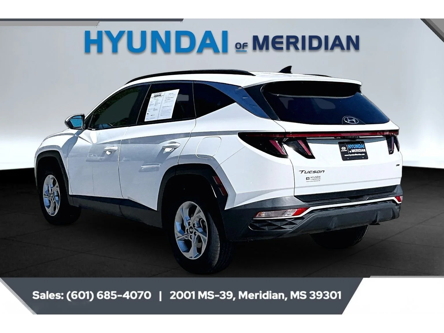 Used 2023 Serenity White Pearl Hyundai SEL image 2