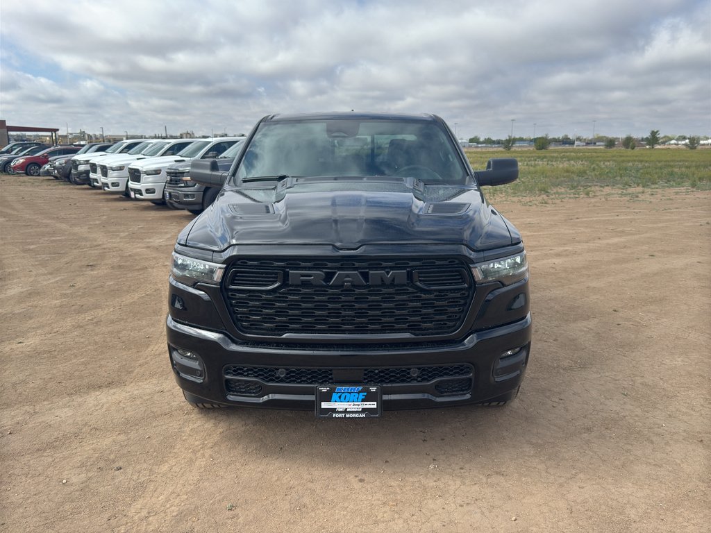 New 2026 Diamond Black Crystal Pearl-Coat Exterior Paint RAM Express image 8