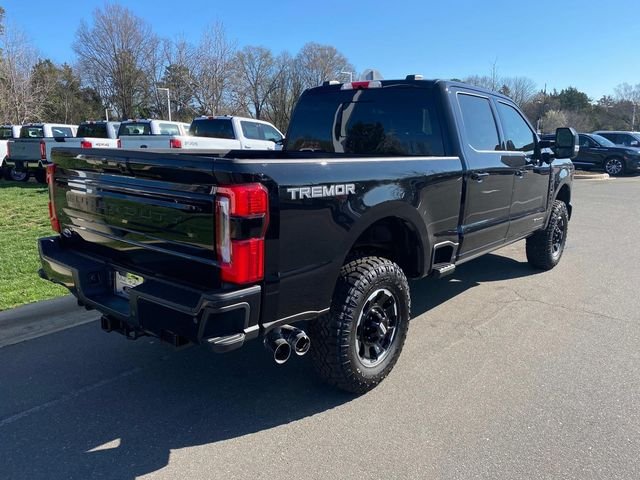 New 2026 Black Ford Platinum image 30