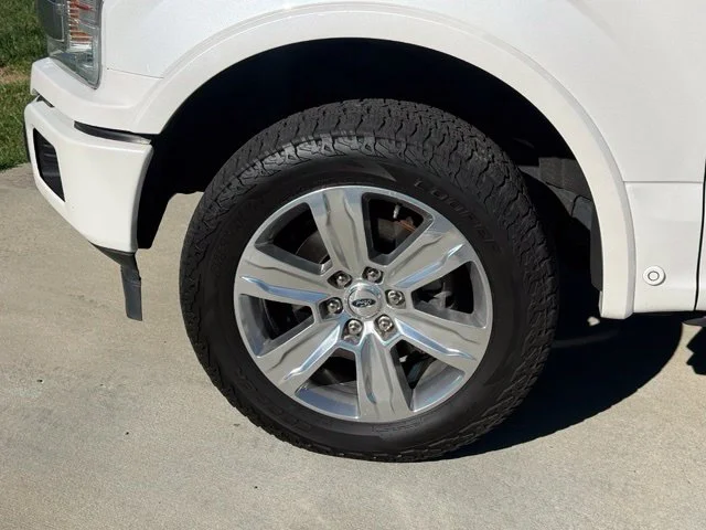Used 2018 White Ford Platinum image 5