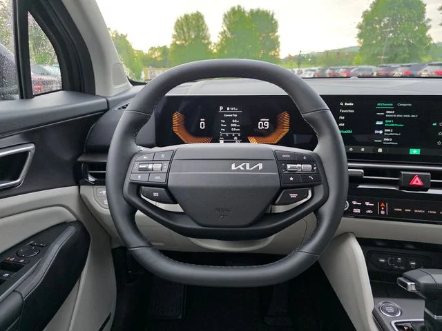 New 2026 Panthera Metal Gray Kia EX image 24