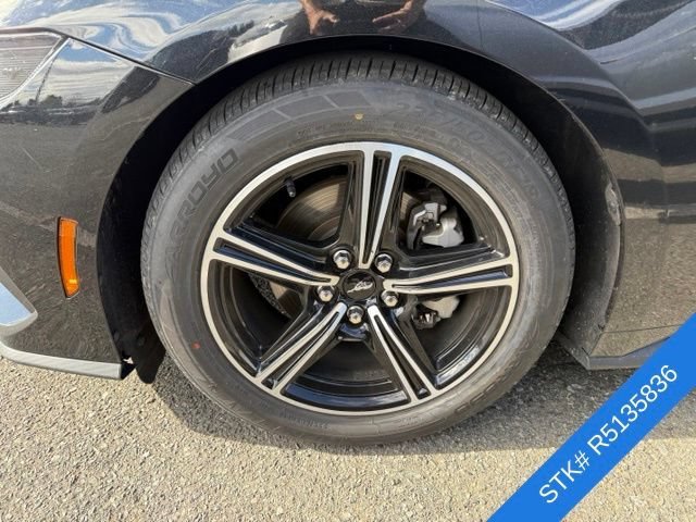 Used 2024 Shadow Black Ford EcoBoost Premium image 3
