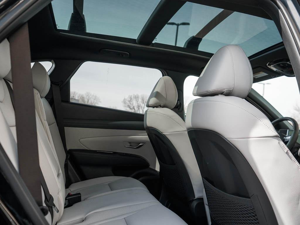 New 2026 Serenity White Pearl Hyundai Limited AWD image 38