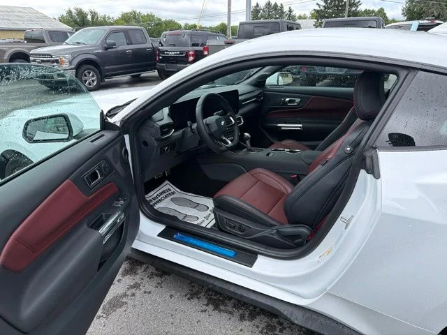 2025 Ford Mustang EcoBoost Premium Fastback - Photo 18