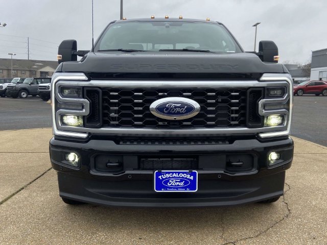 New 2026 Agate Black Metallic Ford Platinum image 6