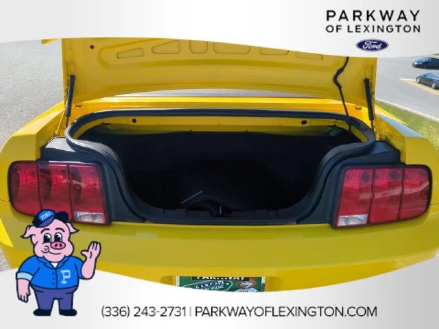 Used 2006  Ford GT Premium image 27