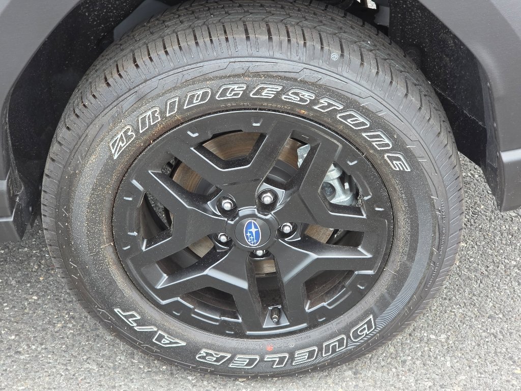 New 2026 Beige Subaru Wilderness image 4