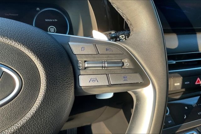 2024 Hyundai Palisade Calligraphy Night Edition - Photo 14