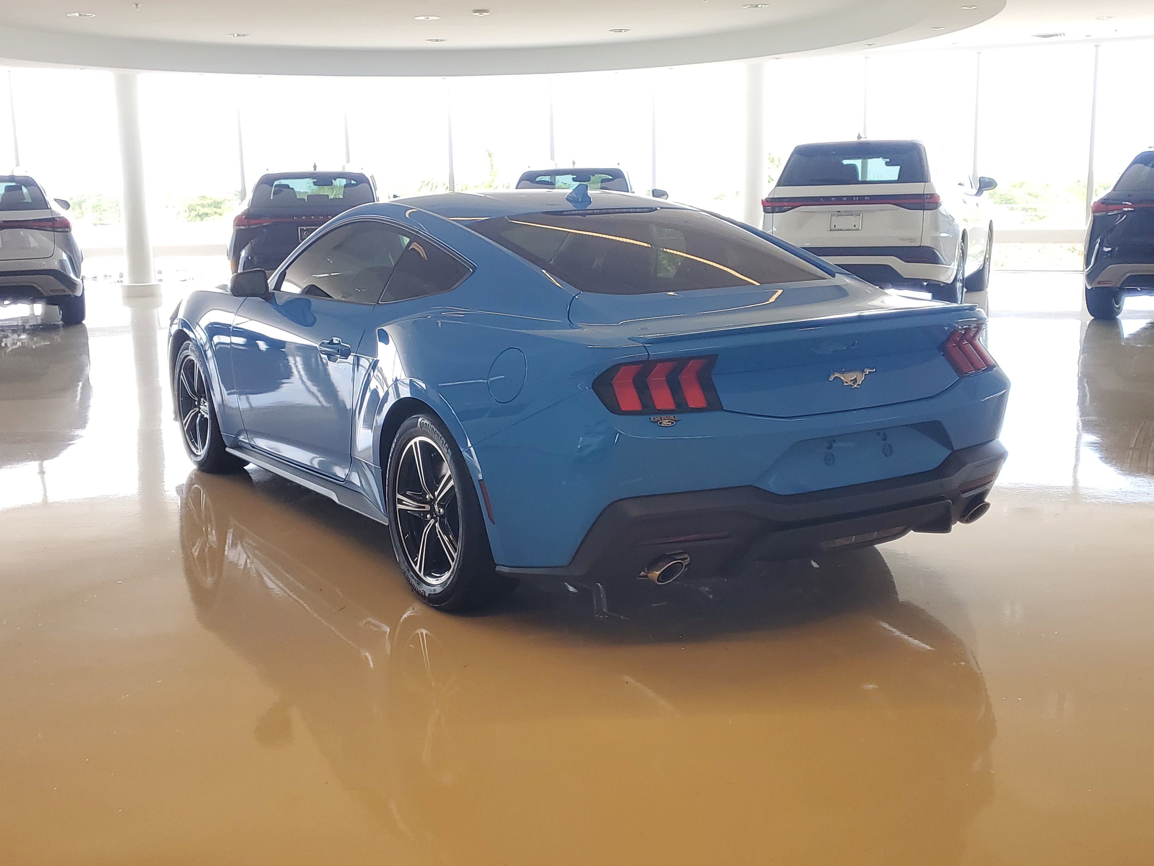 Used 2025 Grabber Blue Metallic Ford EcoBoost Premium image 8