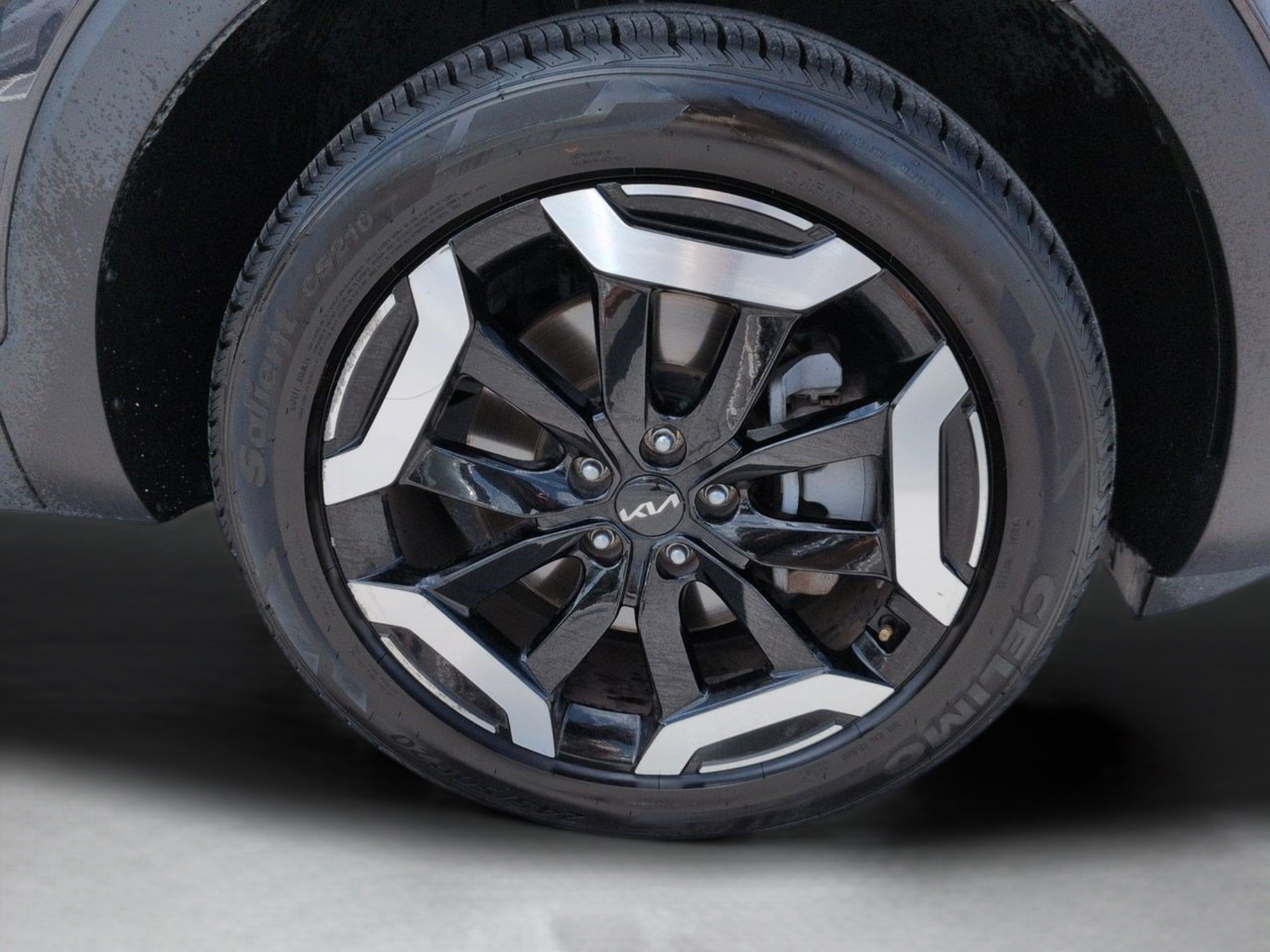 Used 2025 Panthera Metal Kia S image 12
