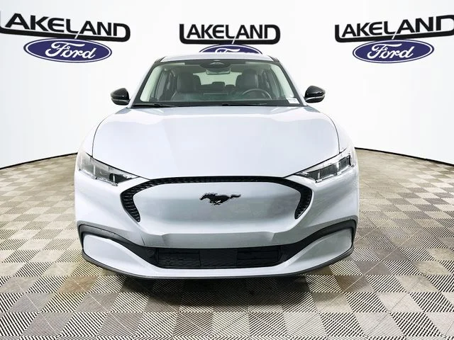 New 2026 Gray Ford Select image 8