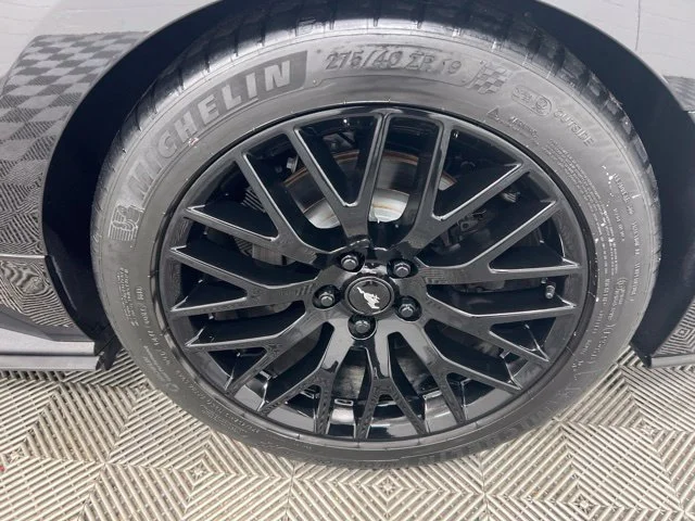 Used 2019 Black Ford GT Premium image 10