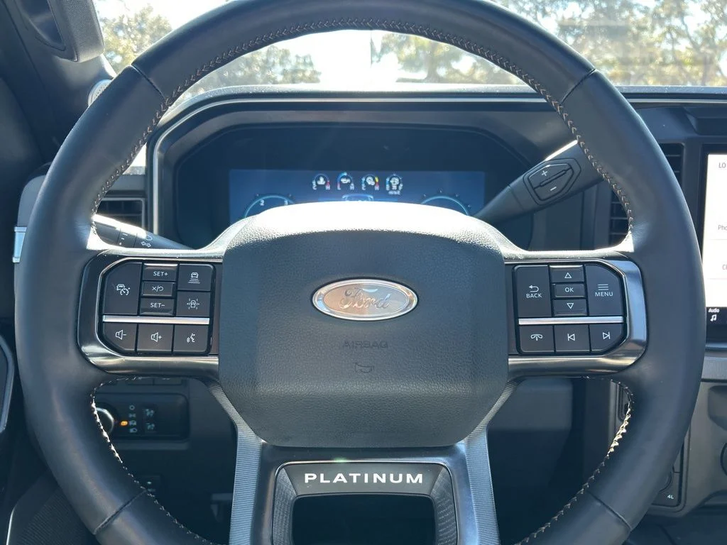 Used 2024 Black Metallic Ford Platinum image 54