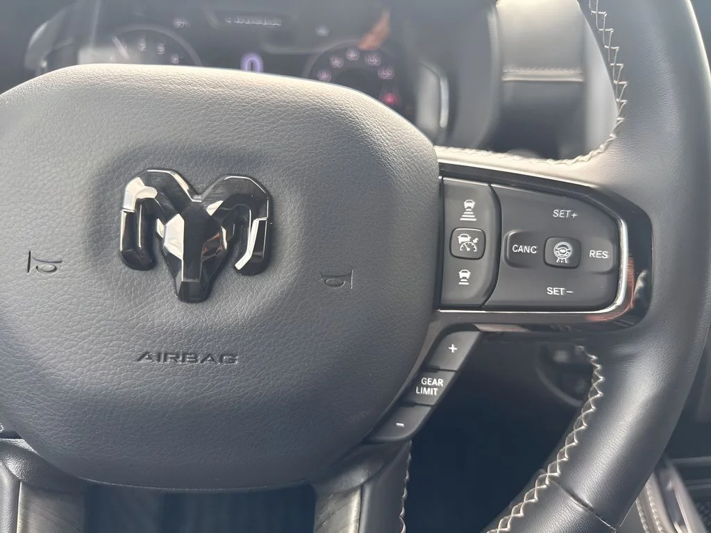 Used 2025 Black Ram Limited image 18