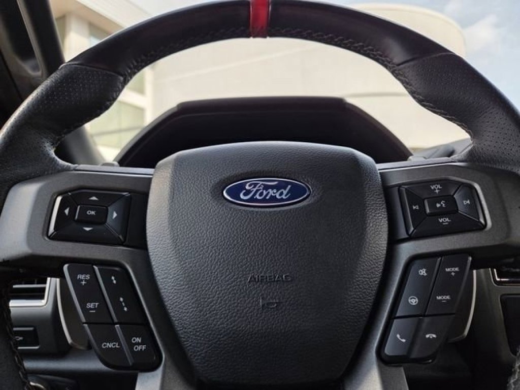 2019 Ford F-150 Raptor - Photo 32