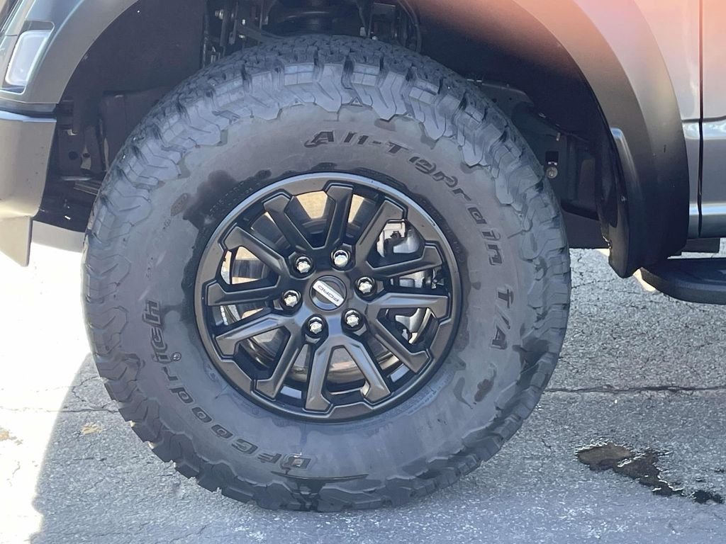 2025 Ford F-150 Raptor - Photo 10