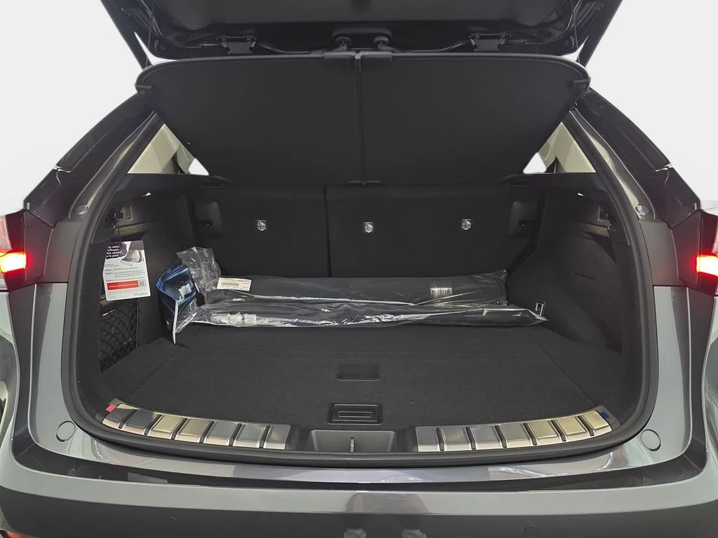 New 2026 Cloudburst Gray Lexus PREMIUM image 12