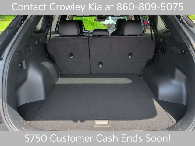 New 2026 Panthera Metal Kia X-Line image 23