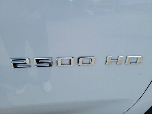 New 2025 Summit White Chevrolet WT image 27