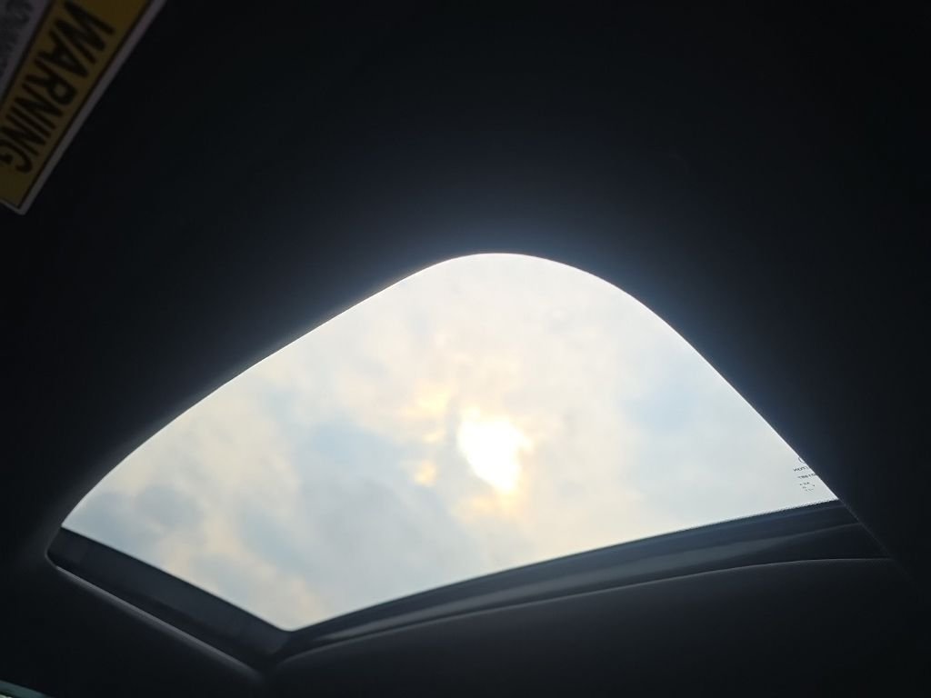 19UUB5F59MA013018