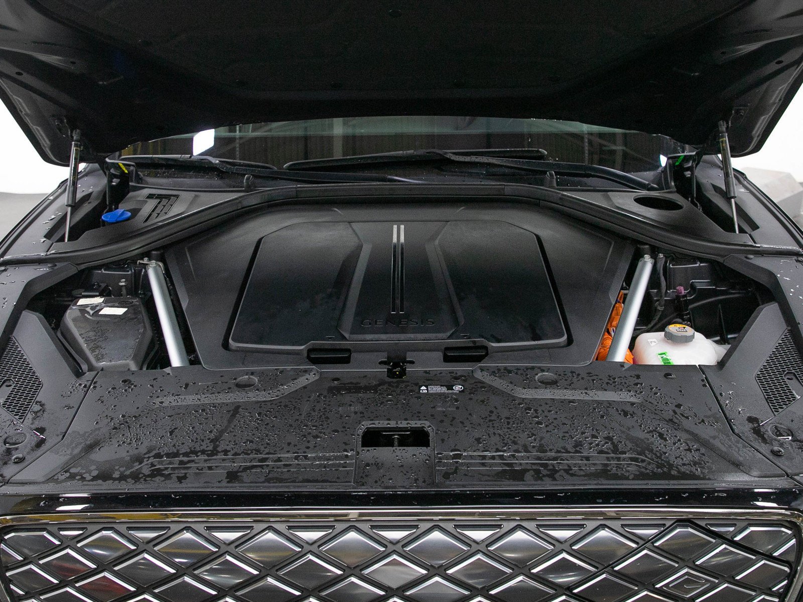 Used 2023 Vik Black Genesis Advanced AWD image 31