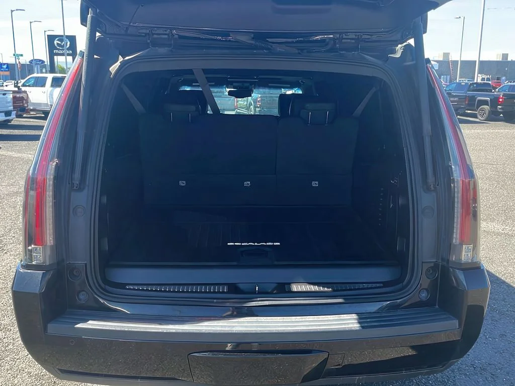 2015 Cadillac Escalade ESV Platinum - Photo 9