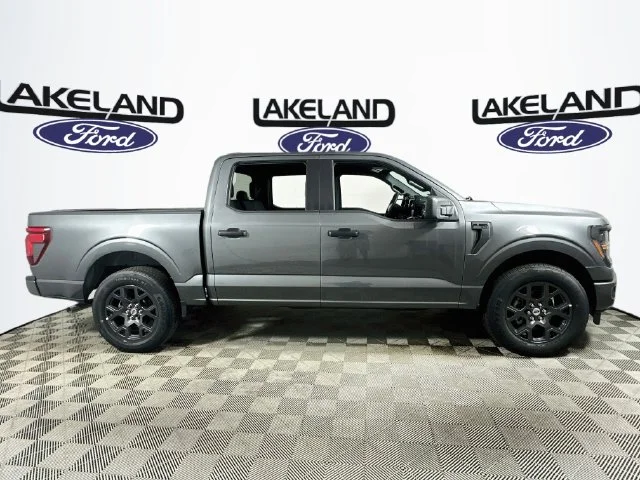 New 2026 Gray Ford STX image 2