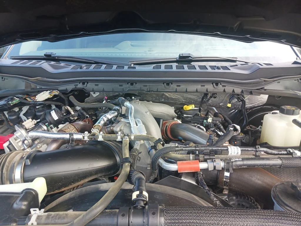 Used 2025 Black Ford Platinum image 14