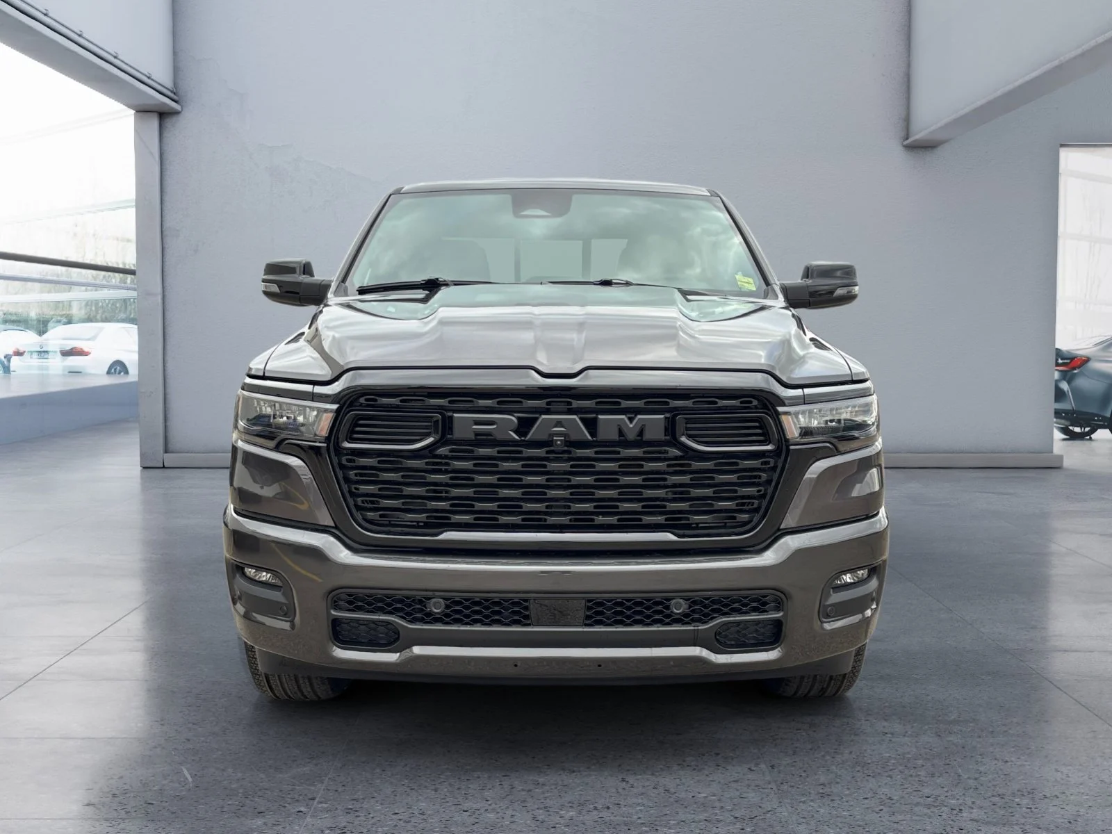New 2027 Granite Crystal Metallic Ram Sport image 8