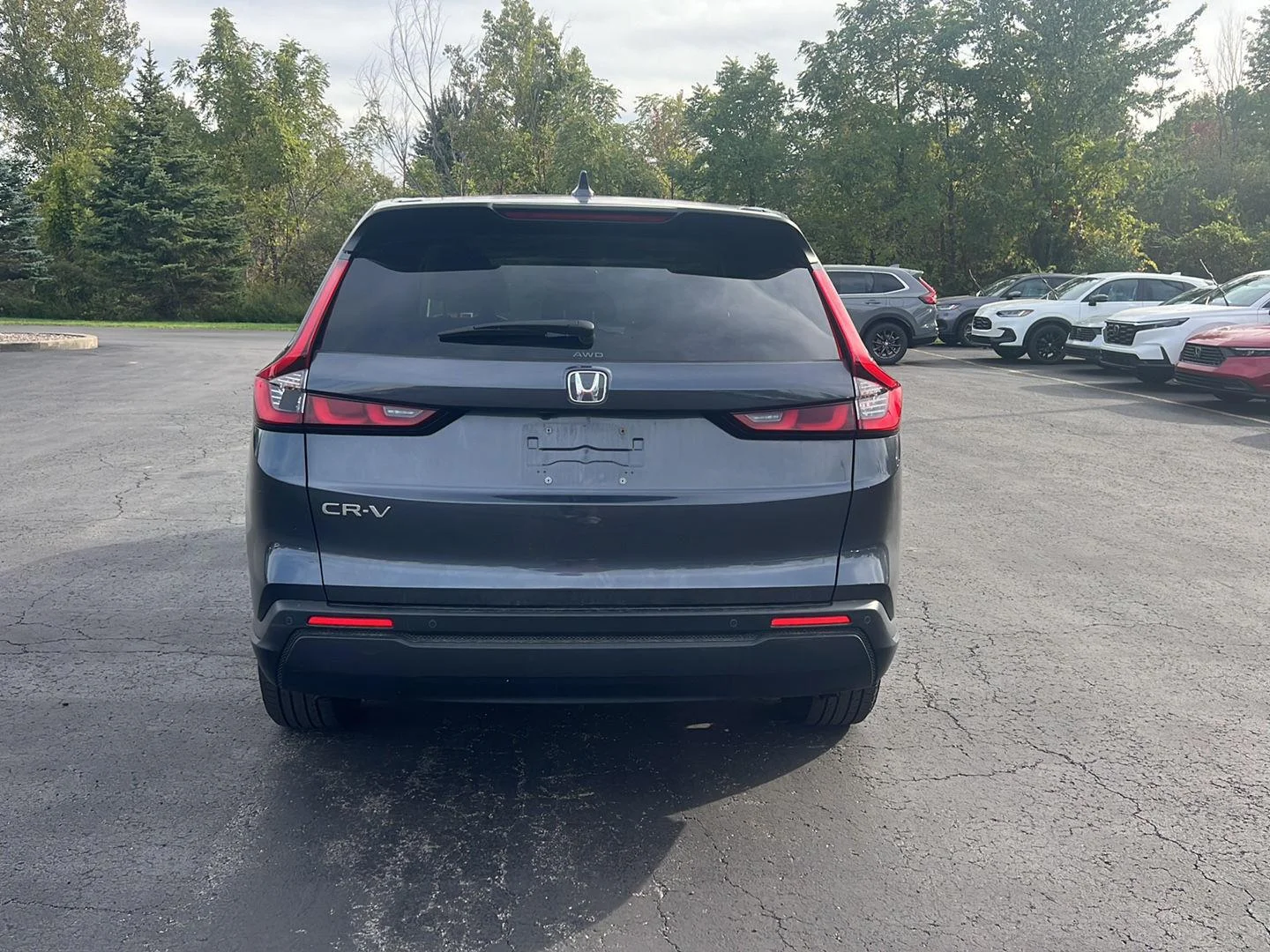 Used 2024 Meteorite Gray Metallic Honda EX-L image 6