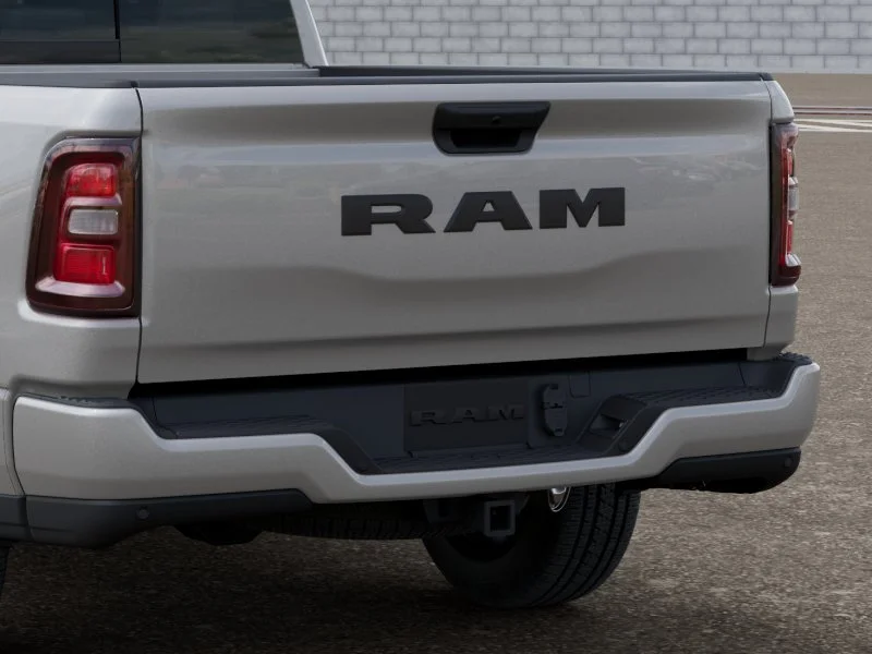 New 2026 Silver Zynith Exterior Paint RAM  image 13