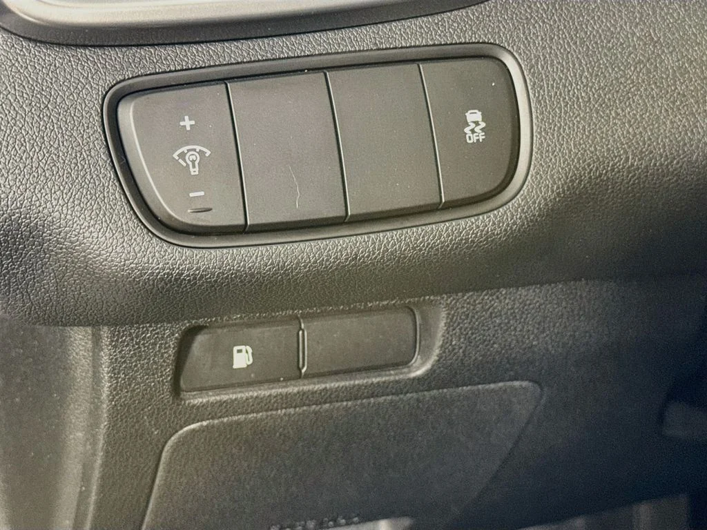 Used 2019 Black Kia L image 10