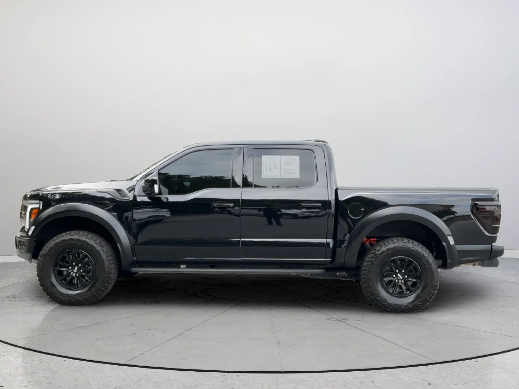 2025 Ford F-150 Raptor - Photo 9