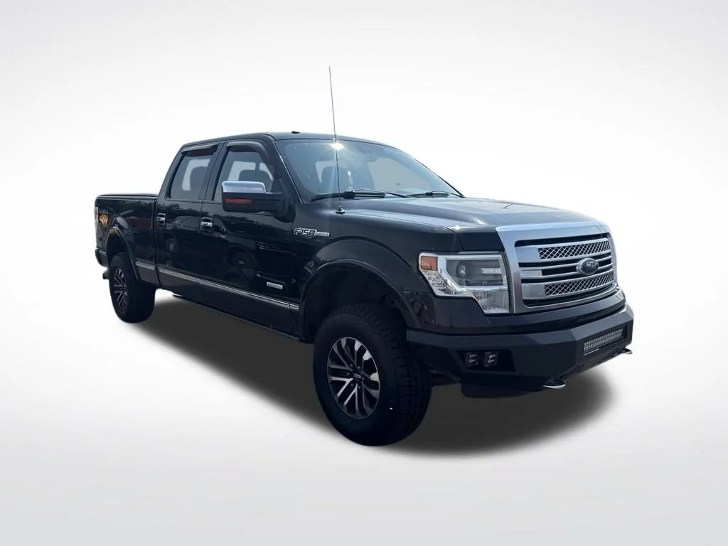 Used 2014 Brown Ford Platinum image 2
